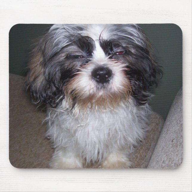 Bowie den luddiga Shih Tzu valpen Mousepad Musmatta (Framsidan)