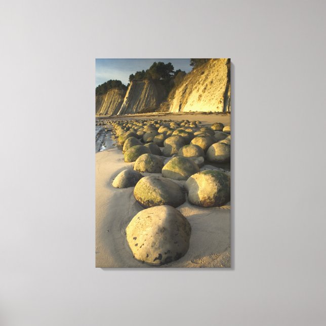 Bowling Ball Beach på Kaliforniens Mendocino Kuste Canvastryck (Framsida)