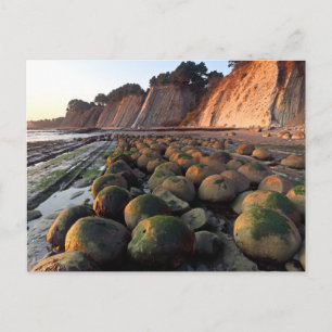 Bowling Beach, Schooner Gulch, Point Arena Vykort