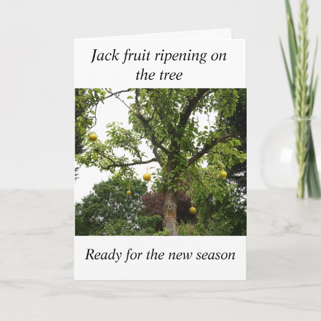 Bowls födelsekort kort (Framsida)