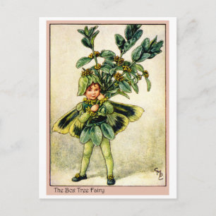 Box Tree Fairy Vykort