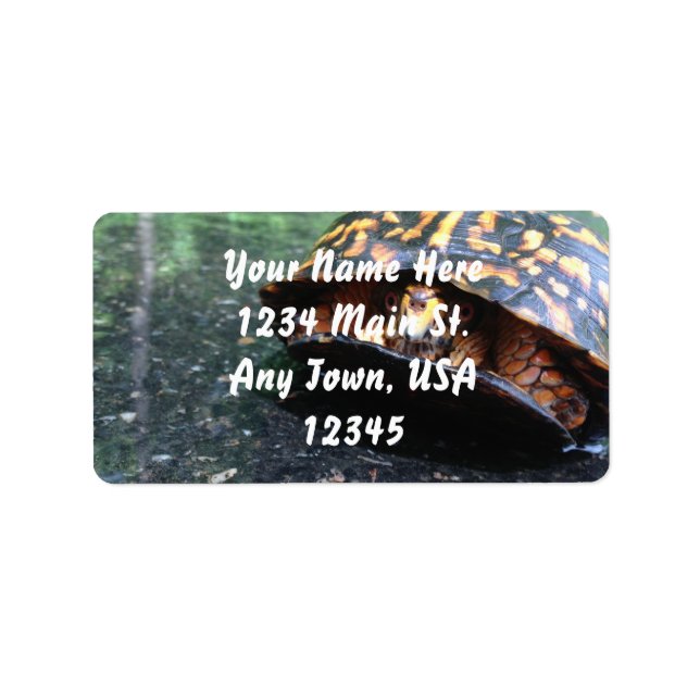 Box Turtle Adressetikett (Framsidan)