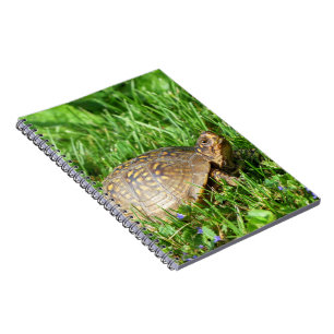 Box Turtle Anteckningsbok