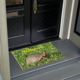 Box Turtle Doormat