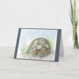 Box Turtle Greeting Card. Tom inuti. Kort
