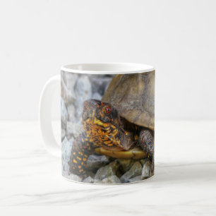 Box Turtle Kaffemugg