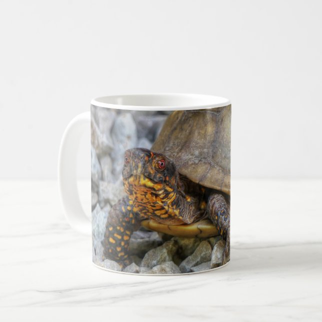 Box Turtle Kaffemugg (Framsida vänster)