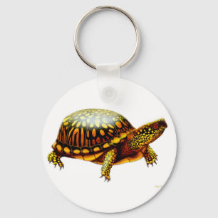 Box Turtle Keychain Nyckelring