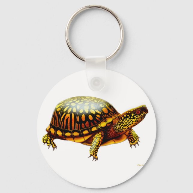 Box Turtle Keychain Nyckelring (Framsida)