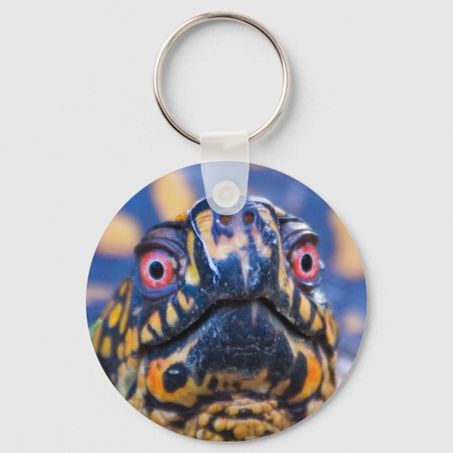 Box Turtle Keychain Nyckelring (Framsida)