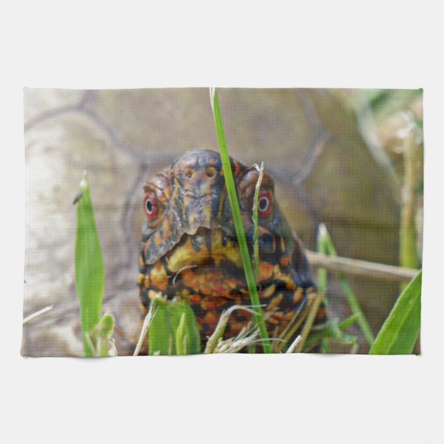 Box Turtle Kökshandduk (Horisontell)