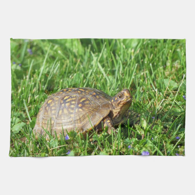 Box Turtle Kökshandduk (Horisontell)