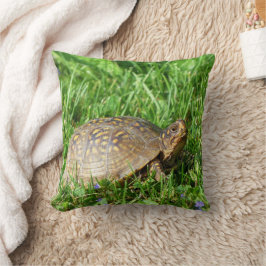 Box Turtle Kudde