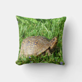 Box Turtle Kudde