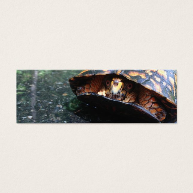 Box Turtle Litet Visitkort (Framsidan)