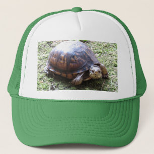 Box Turtle - Mossy Väg Keps