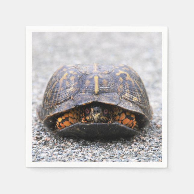 Box Turtle Pappersservett (Framsidan)