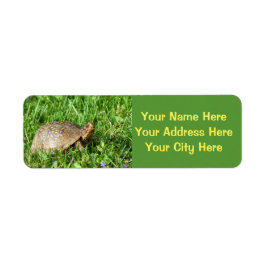 Box Turtle Returadress Etikett
