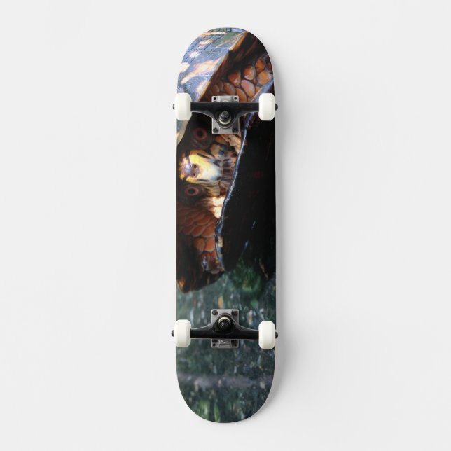 Box Turtle Skateboard Bräda 20 Cm (Framsida)
