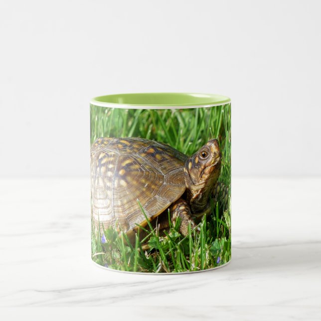 Box Turtle Två-Tonad Mugg (Center)
