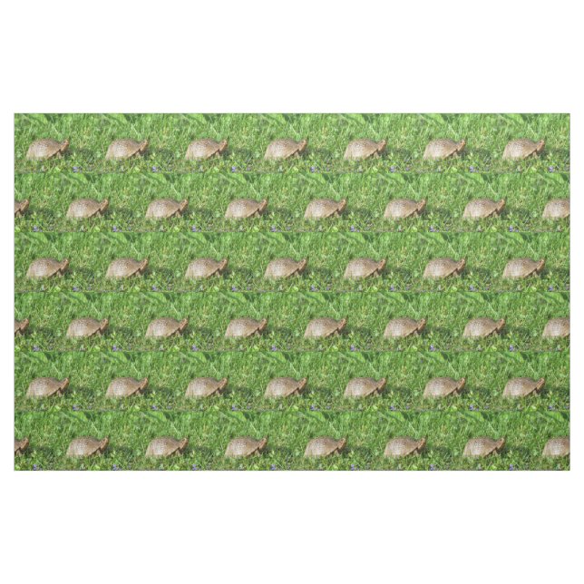 Box Turtle Tyg (Fat Quarter)