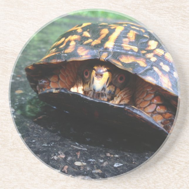 Box Turtle Underlägg Sandsten (Framsidan)