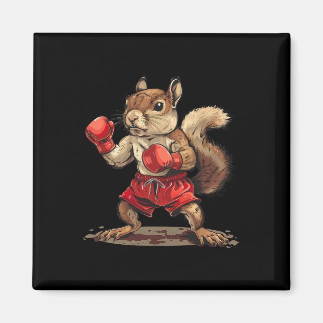 Boxande ekorre med boxningshandskor kickboxning Ro Magnet (Framsidan)