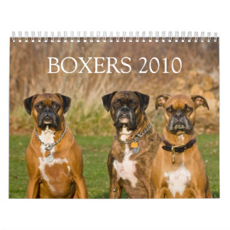 BOXARE 2010 KALENDER