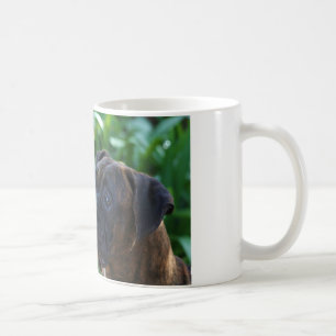 Boxare förföljer och bubblar muggen kaffemugg