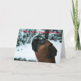 boxare, Hund julkort Helgkort
