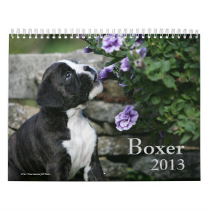 Boxare Kalender