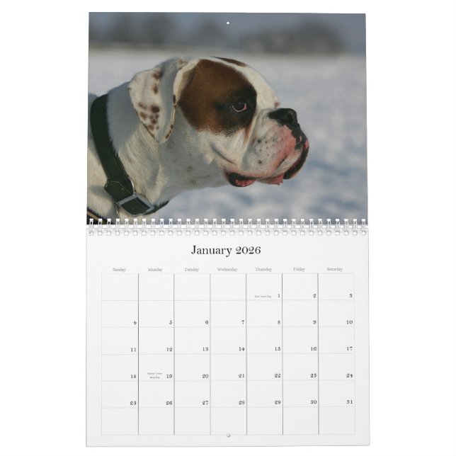 Boxare Kalender (Jan 2026)