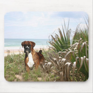 Boxare Mousepad i beachgrassen Musmatta