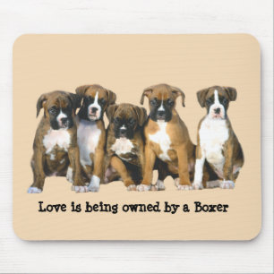 Boxare Mousepad Musmatta
