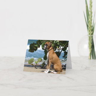 Boxare noterar kortet kort