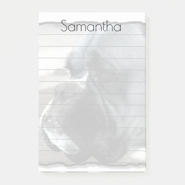 Boxare som hunden postar det, noterar vadderar post-it block (Framsida)