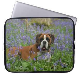 Boxare som lägger i blåklockor laptop sleeve