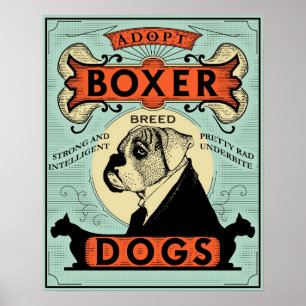 Boxareaffisch 1 poster
