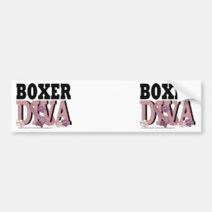 BoxareDIVA Bildekal