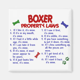Boxareegendomlagar 2 magnet