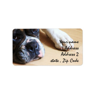 Boxarehund Adressetikett