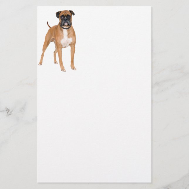 Boxarehund Brevpapper (Framsida)
