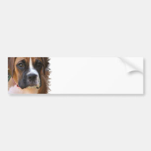 Boxarehund designbildekal bildekal