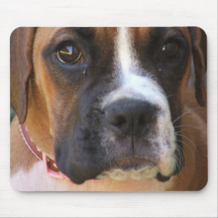 Boxarehund designmusen vadderar musmatta