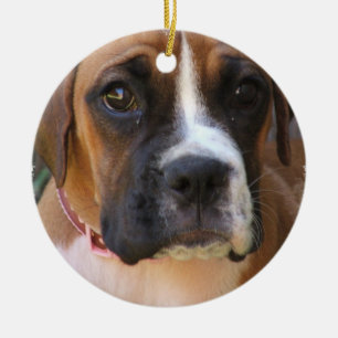 Boxarehund designprydnad julgransprydnad keramik