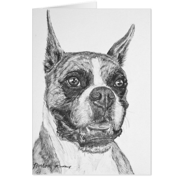 Boxarehund Hälsningskort (Framsidan)