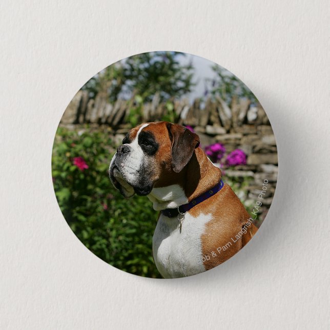 Boxarehund i blommorna knapp (Framsida)