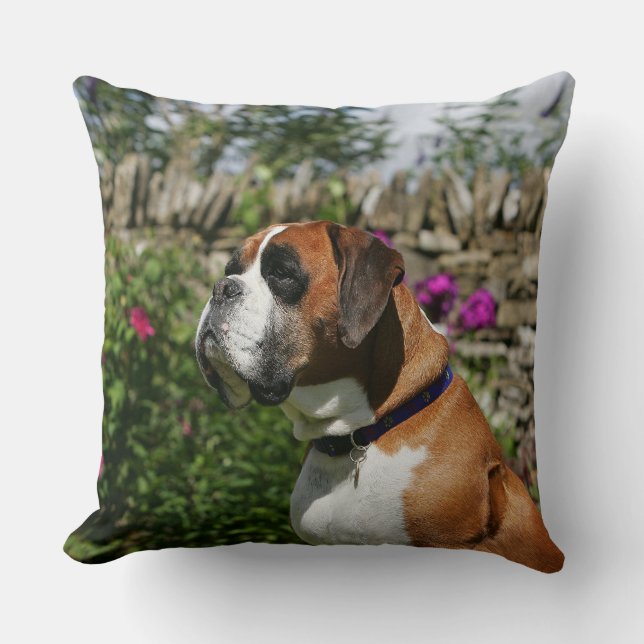 Boxarehund i blommorna kudde (Framsida)