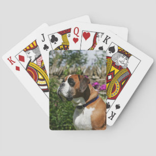 Boxarehund i blommorna spel kort
