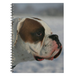 Boxarehund i snön anteckningsbok